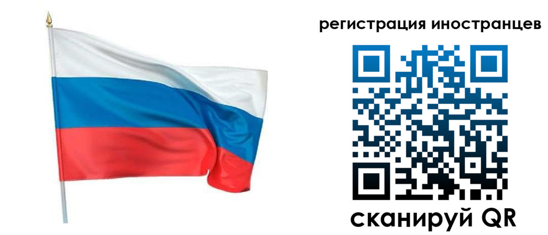 прописка 2025 в Зеленоградске